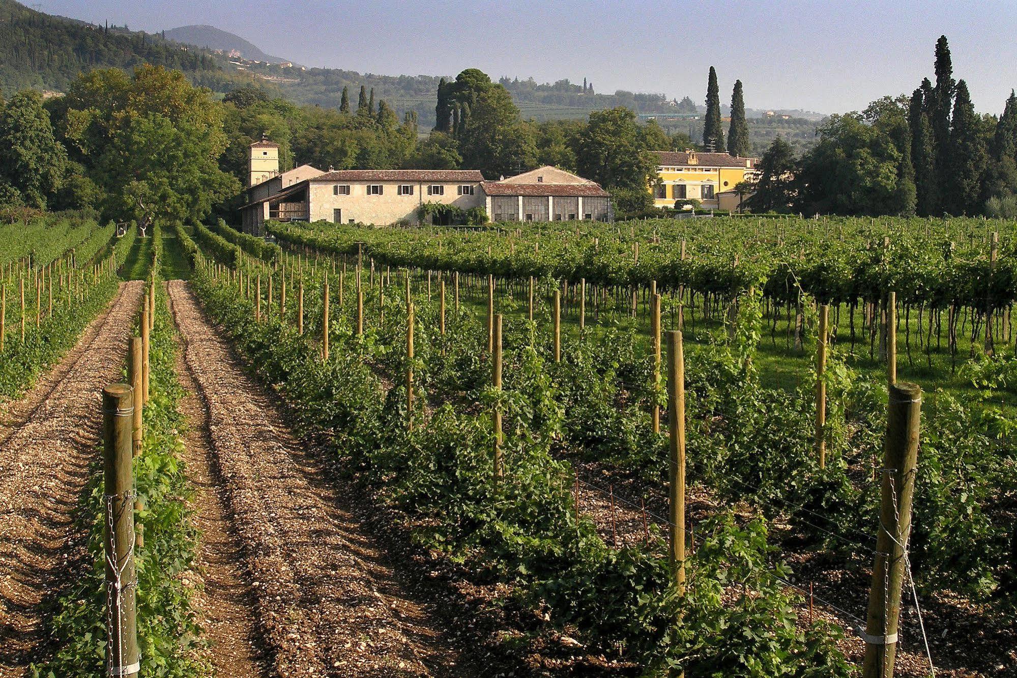 LA FORESTERIA SEREGO ALIGHIERI SANT AMBROGIO DI VALPOLICELLA